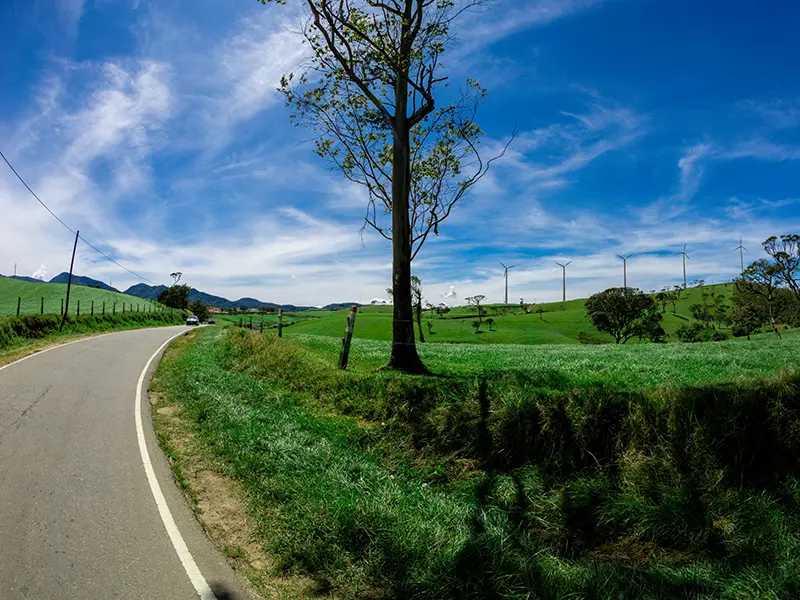 A scenic curving road through the lush green, open grasslands of Ambewela, with wind turbines visible on the distant hill, illustrating an unforgettable drive when getting around Sri Lanka near Nuwara Eliya.