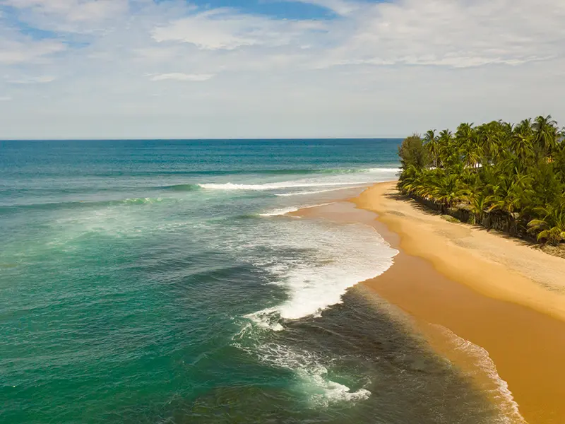 Aerial view of the wide, sandy bay and palm-fringed coast of Arugam Bay, showcasing the beginner-friendly Baby Point surf spot, which is one of the top things to do in Arugam Bay for travelers learning to surf in Sri Lanka