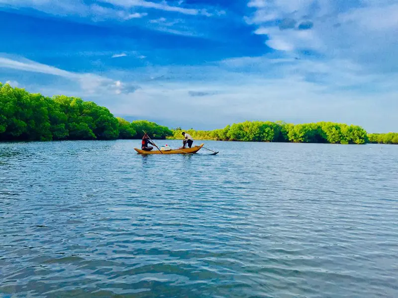 Two people paddle a small boat on the tranquil waters of Pottuvil Lagoon, surrounded by lush mangroves, representing a peaceful eco-adventure and one of the best things to do in Arugam Bay.