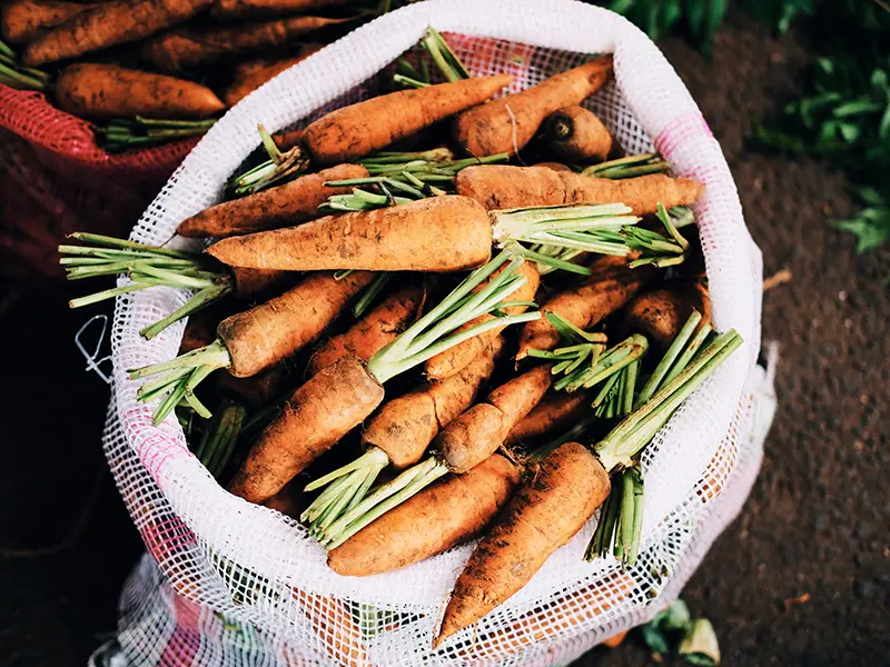 A sack overflowing with freshly harvested carrots, representing the vibrant wholesale vegetable and fruit trade at the Dambulla Dedicated Economic Centre, a cultural stop among things to do in Dambulla.