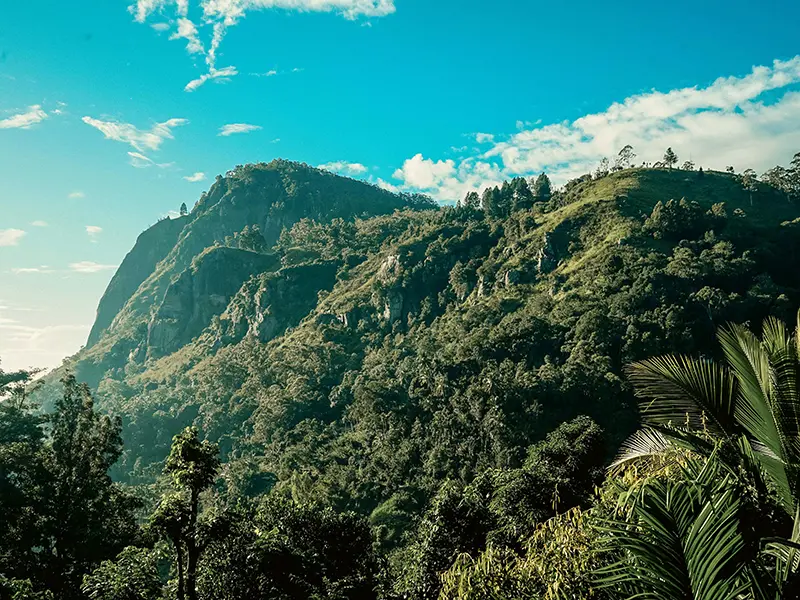 The massive, lush green cliff of Ella Rock under a blue sky, one of the top things to do in Ella for hikers.