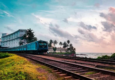 A blue train travels along the coastal railway track beside the Indian Ocean, illustrating one of the best ways of getting around Sri Lanka.