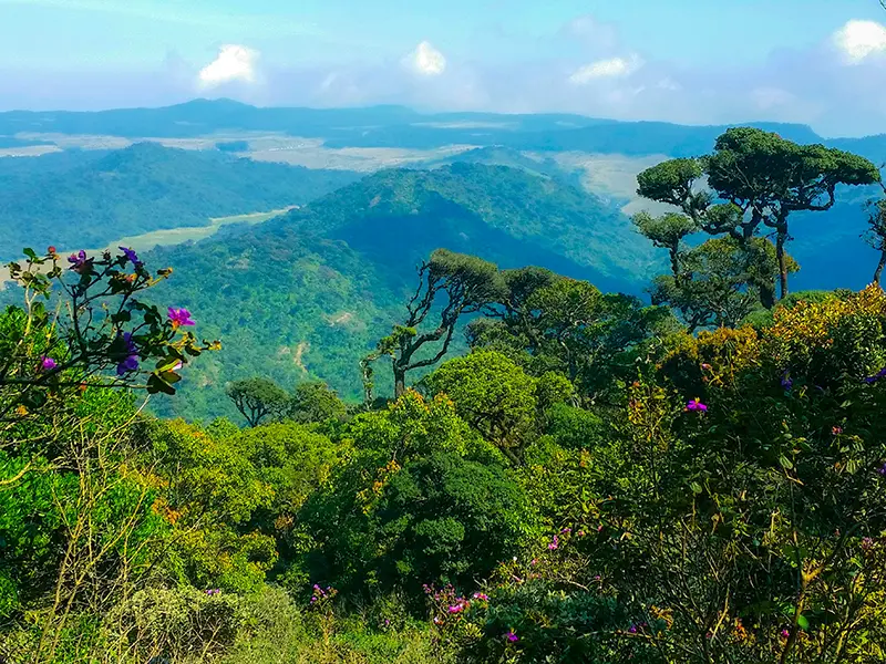 A panoramic view of rolling green hills, cloud forest, and distant valleys from the high plateau, representing a must-do hike among things to do in Nuwara Eliya at Horton Plains National Park.