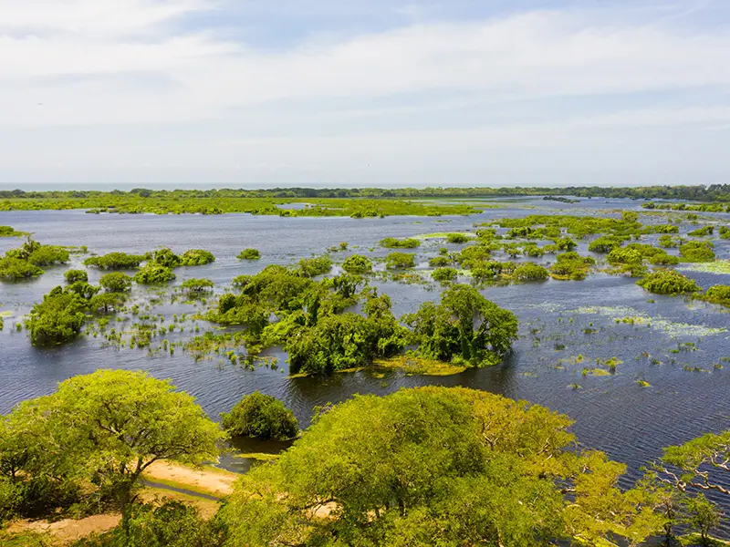 An expansive view of the Kumana Villu lagoon in Kumana National Park, featuring deep blue water dotted with green islands, highlighting the park's status as a major birdwatching and wildlife safari destination near Arugam Bay.