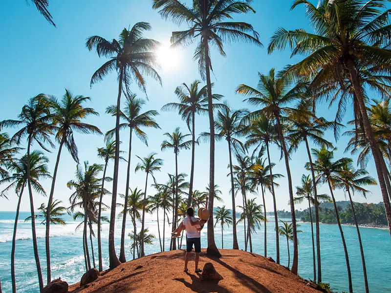 A scenic viewpoint on Coconut Tree Hill in Mirissa, featuring a grove of tall palm trees overlooking the Indian Ocean, an iconic spot for photos and one of the most popular things to do in Mirissa.