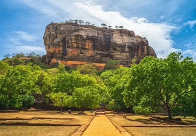 The magnificent Sigiriya Lion Rock Fortress rising above the ancient water gardens, highlighting the climb and historical site, one of the top things to do in Sigiriya.