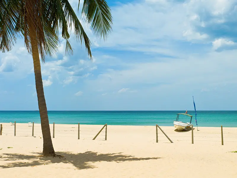 The pristine white sands and calm turquoise waters of Nilaveli Beach in Trincomalee, featuring a solitary palm tree and a boat in the distance, representing a secluded tropical paradise.
