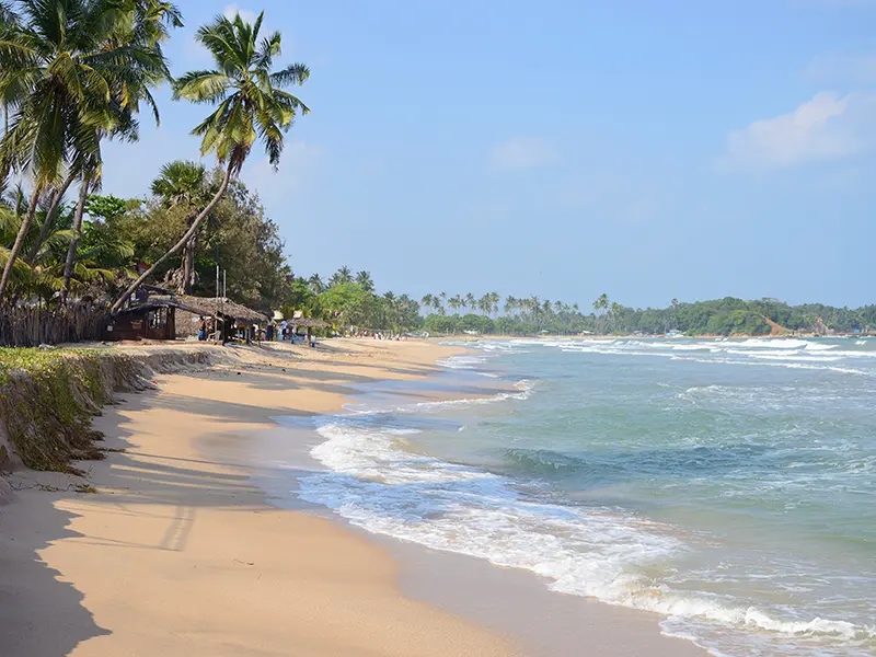 The golden sand beach of Uppuveli Beach in Trincomalee with palm trees, thatched-roof beach shacks, and gentle waves, reflecting its laid-back atmosphere and local charm.