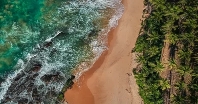 An aerial view of a pristine tropical beach in Sri Lanka, featuring turquoise ocean waves crashing on golden sand bordered by lush palm trees, perfect for a diverse 2 week Sri Lanka itinerary.