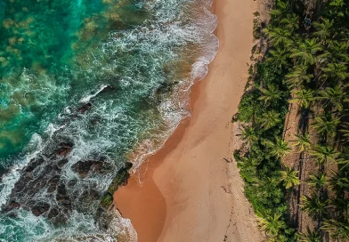 An aerial view of a pristine tropical beach in Sri Lanka, featuring turquoise ocean waves crashing on golden sand bordered by lush palm trees, perfect for a diverse 2 week Sri Lanka itinerary.
