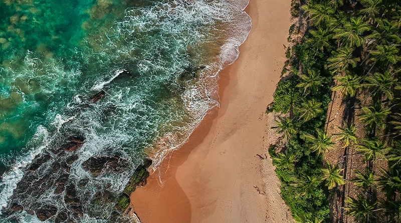 An aerial view of a pristine tropical beach in Sri Lanka, featuring turquoise ocean waves crashing on golden sand bordered by lush palm trees, perfect for a diverse 2 week Sri Lanka itinerary.