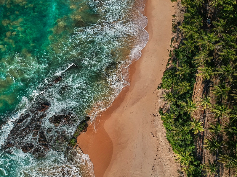 An aerial view of a pristine tropical beach in Sri Lanka, featuring turquoise ocean waves crashing on golden sand bordered by lush palm trees, perfect for a diverse 2 week Sri Lanka itinerary.